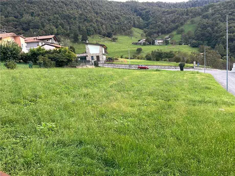 Immagine 4 di Terreno in vendita  in Via Colognola a Viadanica