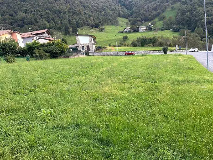 Immagine 4 di Terreno in vendita  in Via Colognola a Viadanica