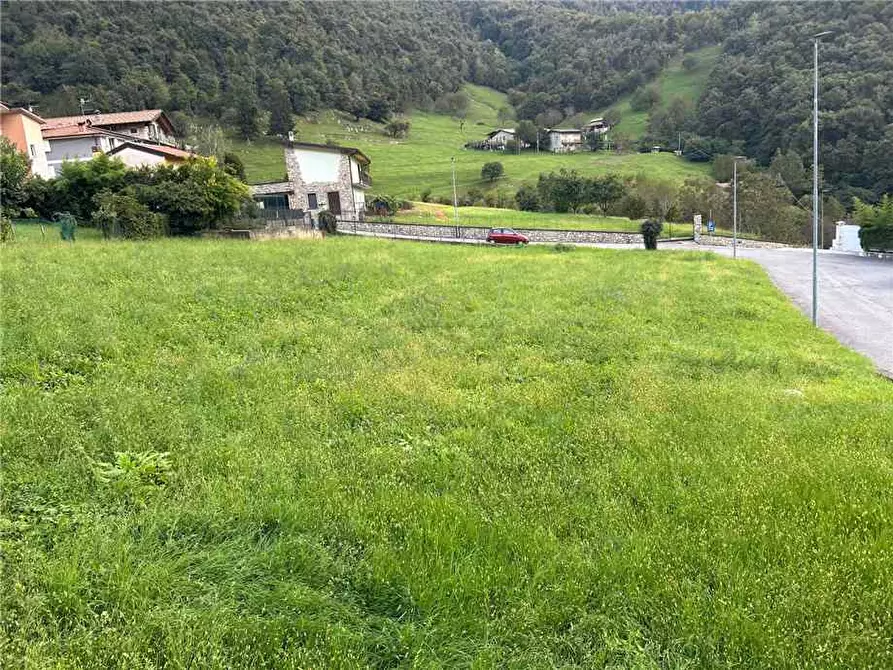 Immagine 5 di Terreno in vendita  in Via Colognola a Viadanica
