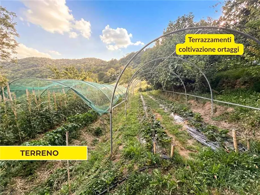 Immagine 6 di Rustico / casale in vendita  in Via Gafforelli a Foresto Sparso