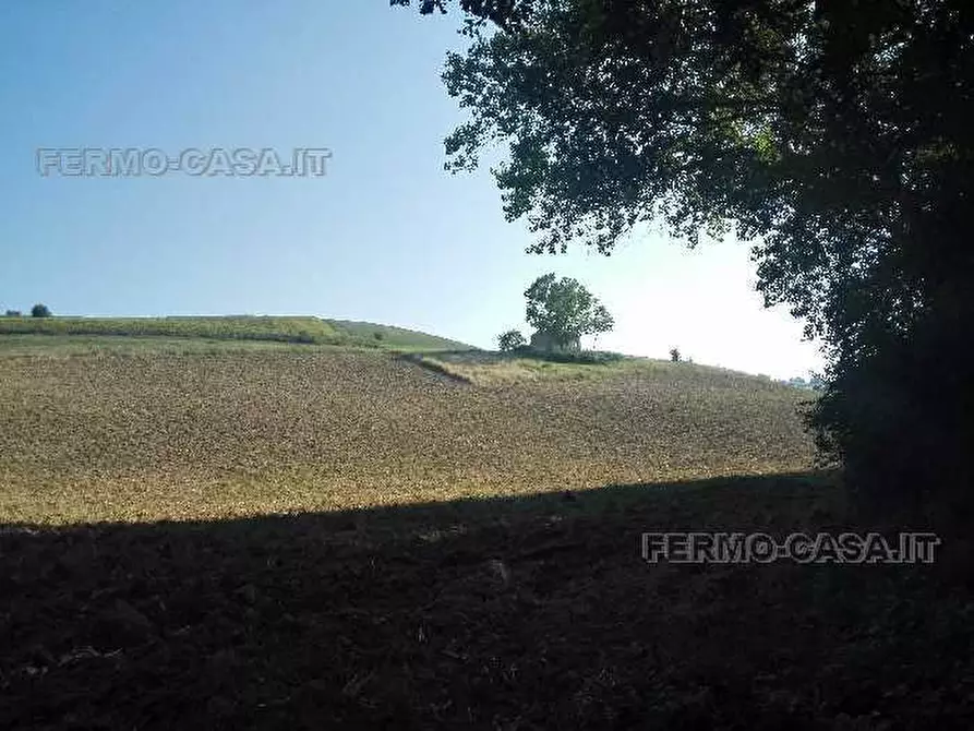 Immagine 3 di Rustico / casale in vendita  in Via provinciale a Fermo