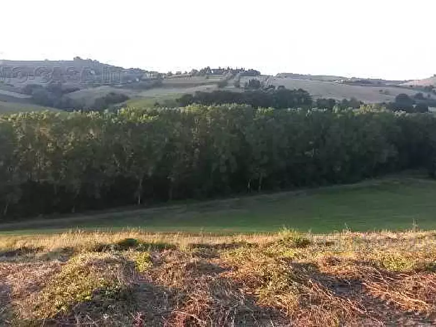 Immagine 4 di Rustico / casale in vendita  in Via provinciale a Fermo