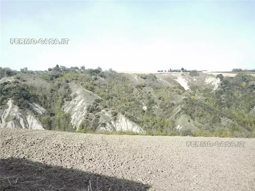 Immagine 10 di Rustico / casale in vendita  in Via fonterrante a Monterubbiano