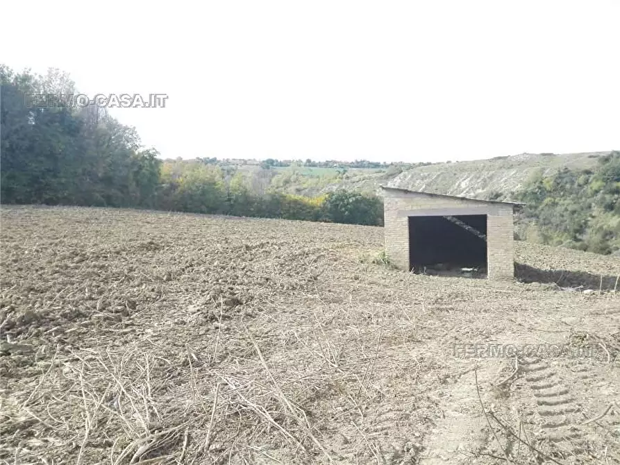 Immagine 11 di Rustico / casale in vendita  in Via fonterrante a Monterubbiano