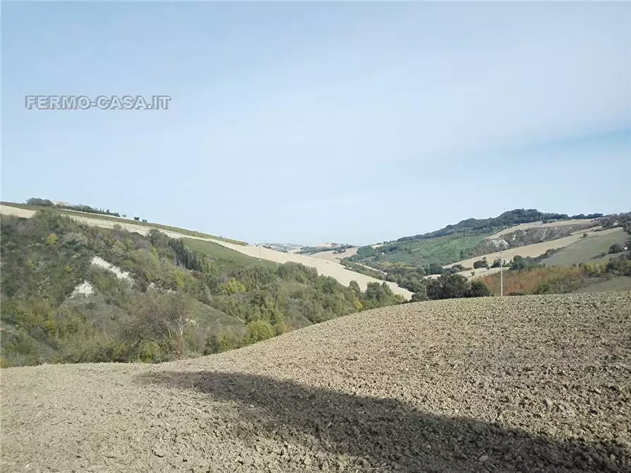 Immagine 12 di Rustico / casale in vendita  in Via fonterrante a Monterubbiano