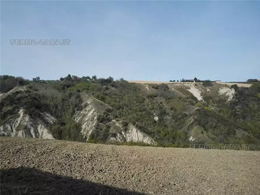 Immagine 13 di Rustico / casale in vendita  in Via fonterrante a Monterubbiano