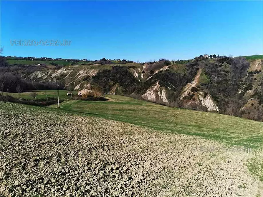 Immagine 14 di Rustico / casale in vendita  in Via fonterrante a Monterubbiano