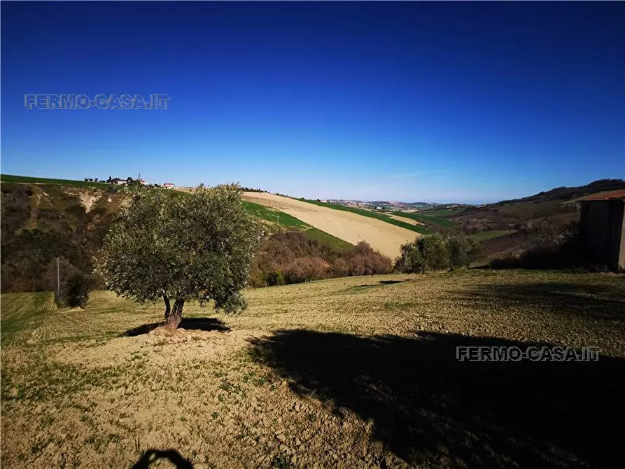 Immagine 15 di Rustico / casale in vendita  in Via fonterrante a Monterubbiano