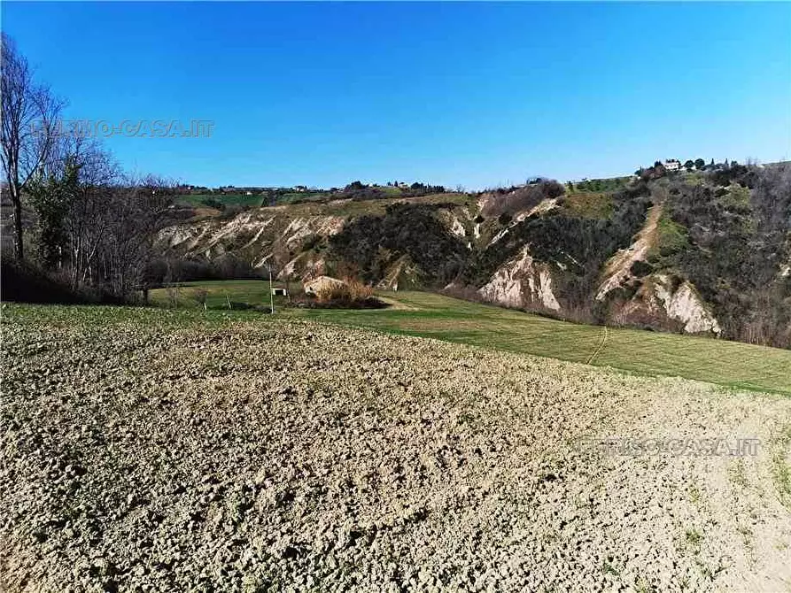 Immagine 4 di Rustico / casale in vendita  in Via fonterrante a Monterubbiano