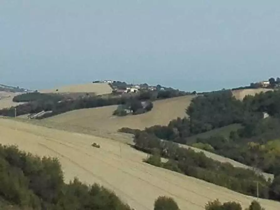 Immagine 5 di Rustico / casale in vendita  in Via fonterrante a Monterubbiano