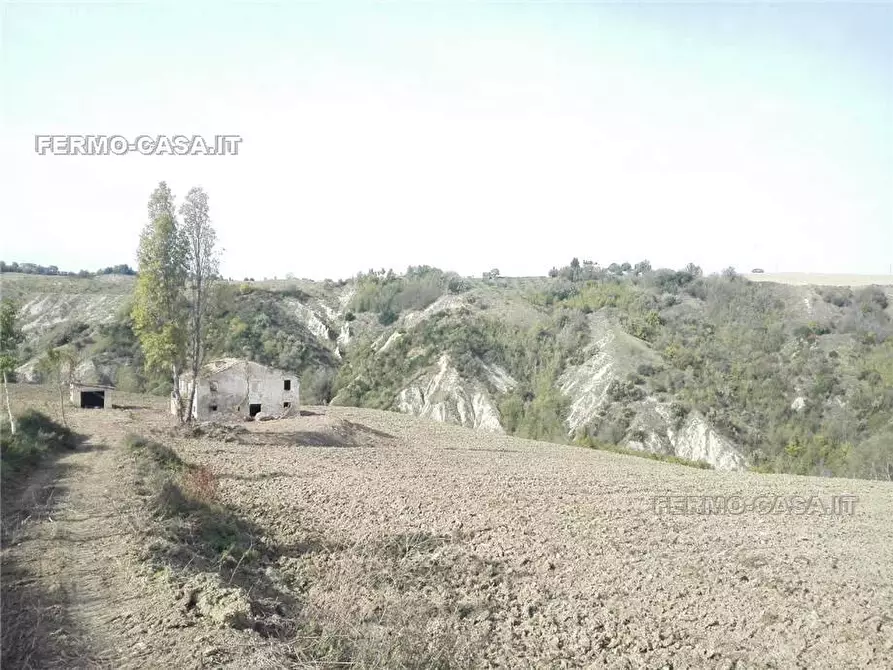 Immagine 6 di Rustico / casale in vendita  in Via fonterrante a Monterubbiano