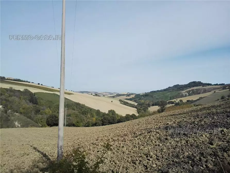 Immagine 7 di Rustico / casale in vendita  in Via fonterrante a Monterubbiano