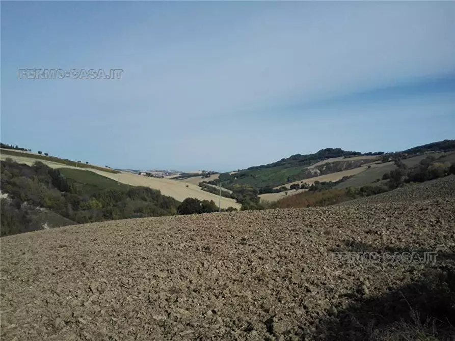 Immagine 8 di Rustico / casale in vendita  in Via fonterrante a Monterubbiano