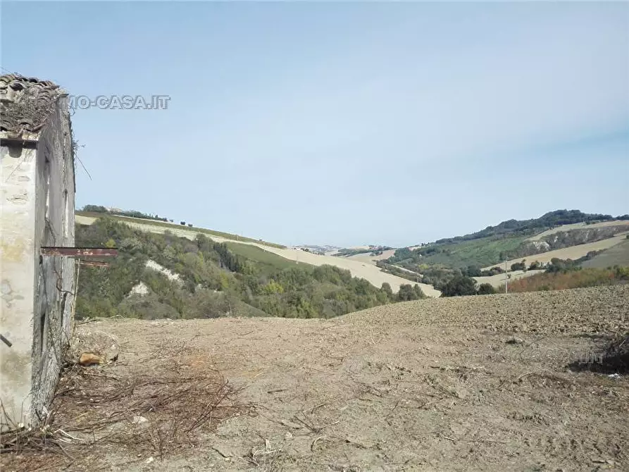 Immagine 9 di Rustico / casale in vendita  in Via fonterrante a Monterubbiano