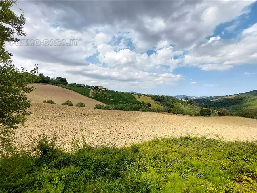 Immagine 14 di Rustico / casale in vendita  in Via piazza a Montedinove