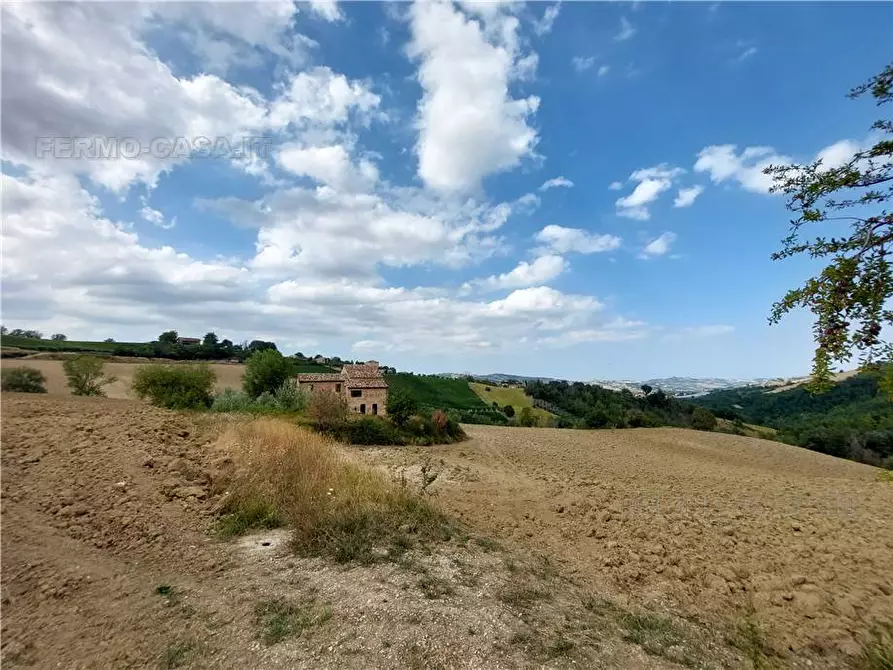 Immagine 19 di Rustico / casale in vendita  in Via piazza a Montedinove