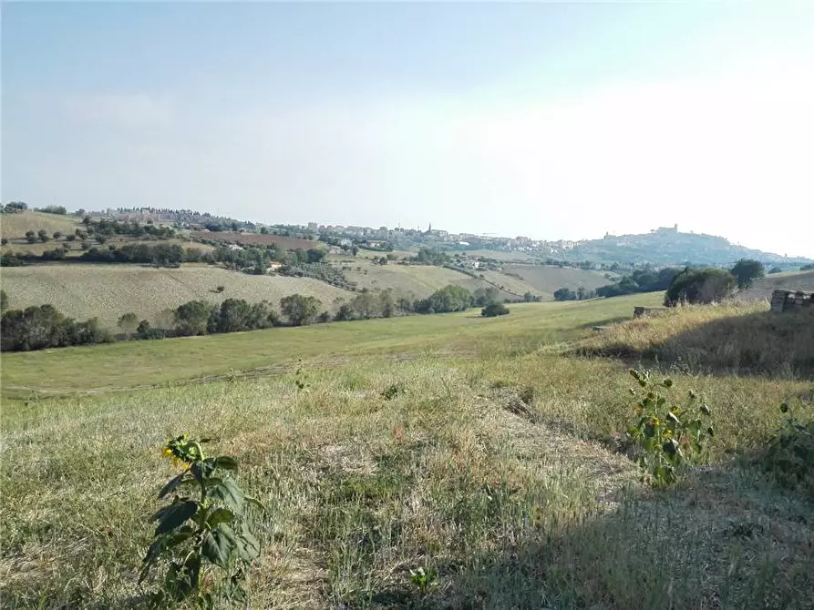 Immagine 15 di Rustico / casale in vendita  in Via Paludi a Fermo