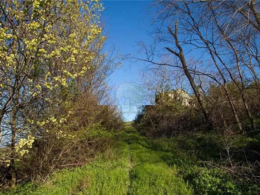 Immagine 6 di Rustico / casale in vendita  in Via Fossaceca, 35 a Porto San Giorgio