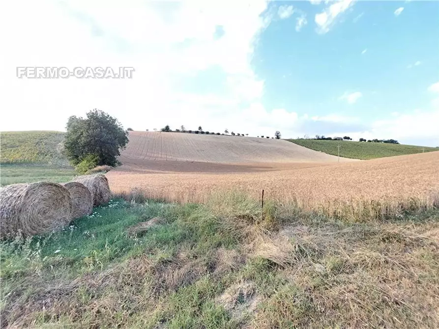 Immagine 10 di Terreno in vendita  in Via Del Mulino, 1 a Montottone