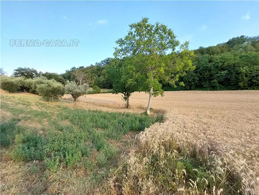 Immagine 11 di Terreno in vendita  in Via Del Mulino, 1 a Montottone