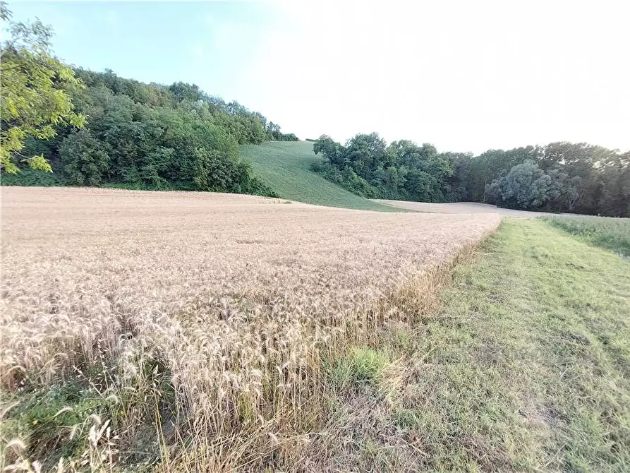 Immagine 12 di Terreno in vendita  in Via Del Mulino, 1 a Montottone