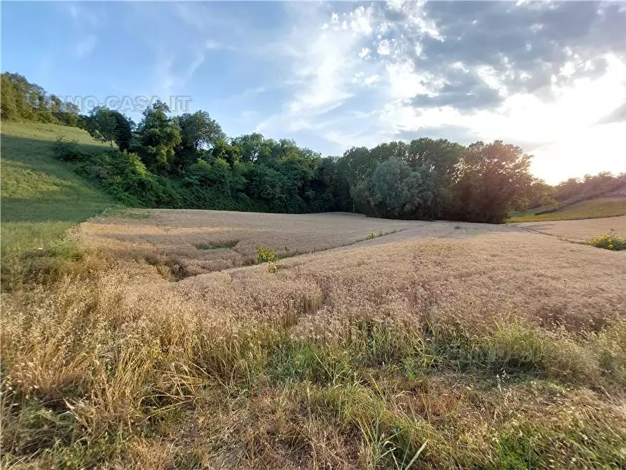 Immagine 14 di Terreno in vendita  in Via Del Mulino, 1 a Montottone