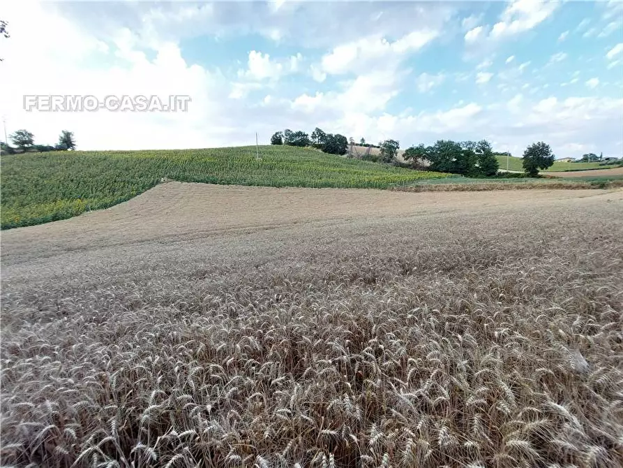 Immagine 2 di Terreno in vendita  in Via Del Mulino, 1 a Montottone
