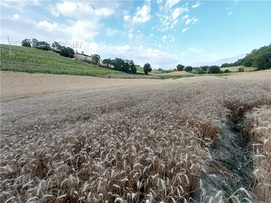 Immagine 3 di Terreno in vendita  in Via Del Mulino, 1 a Montottone