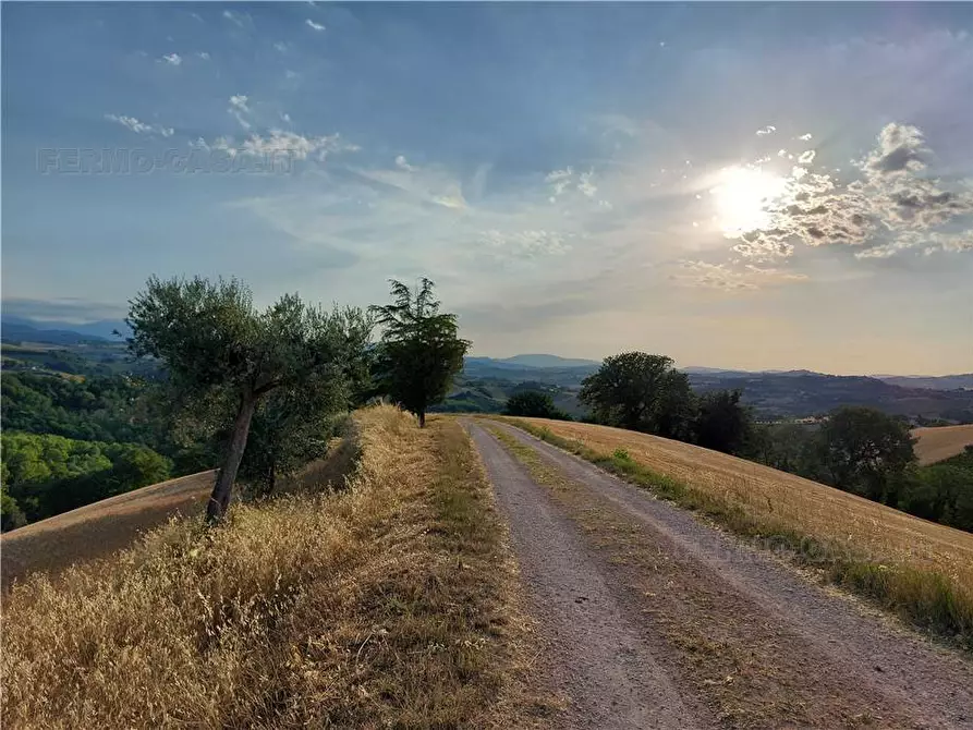 Immagine 6 di Terreno in vendita  in Via Del Mulino, 1 a Montottone