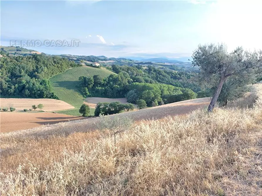 Immagine 7 di Terreno in vendita  in Via Del Mulino, 1 a Montottone