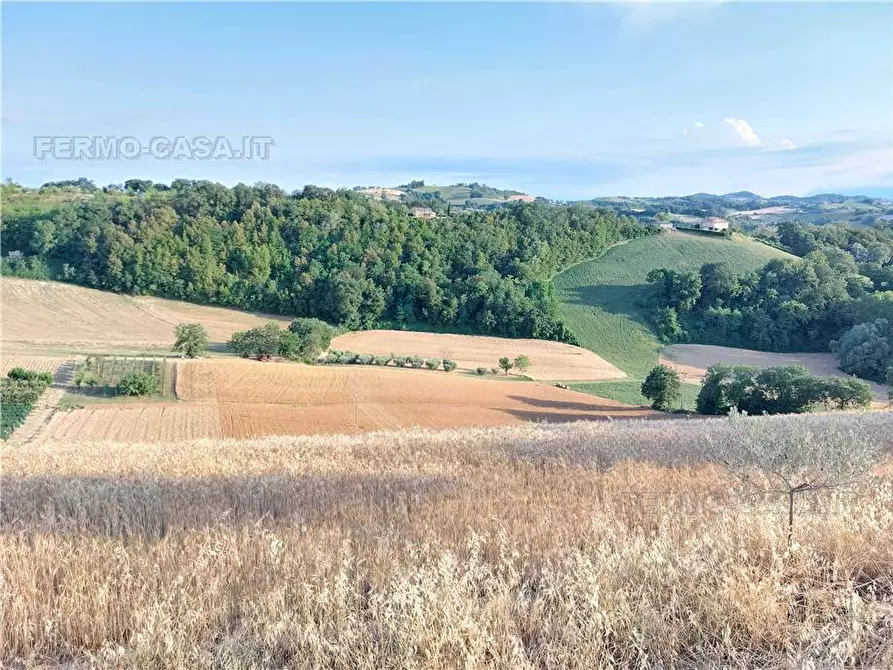 Immagine 8 di Terreno in vendita  in Via Del Mulino, 1 a Montottone