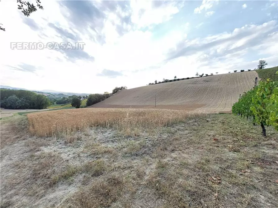 Immagine 9 di Terreno in vendita  in Via Del Mulino, 1 a Montottone