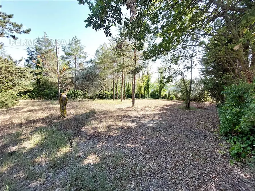 Immagine 26 di Rustico / casale in vendita  in Via Spino, 9 a Monterubbiano