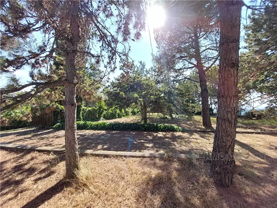 Immagine 28 di Rustico / casale in vendita  in Via Spino, 9 a Monterubbiano