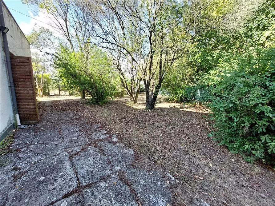 Immagine 29 di Rustico / casale in vendita  in Via Spino, 9 a Monterubbiano