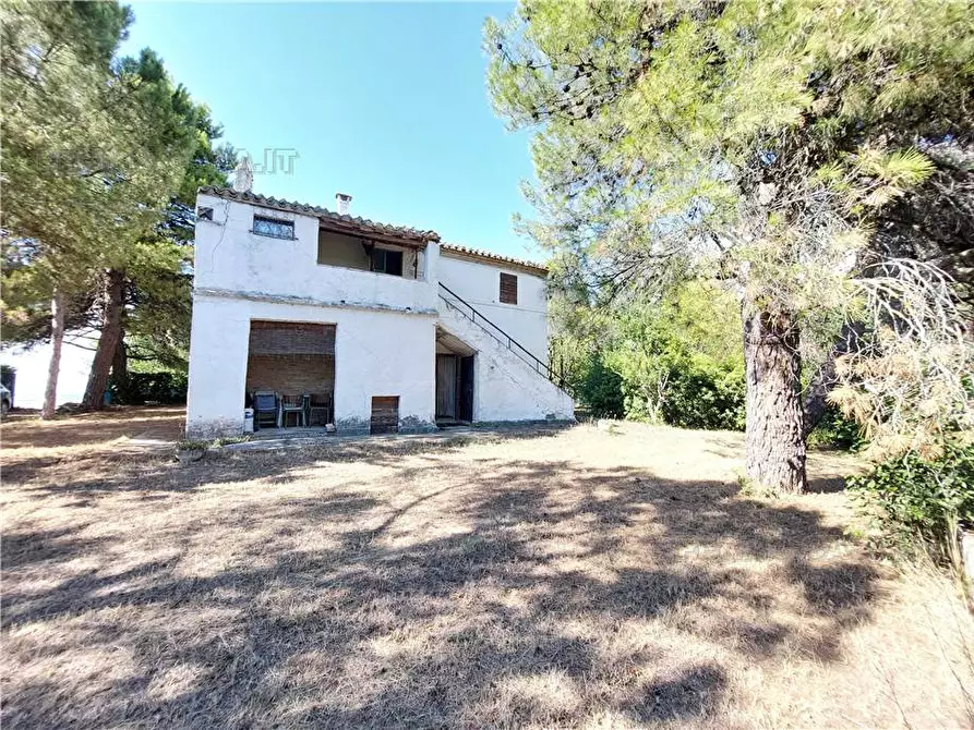 Immagine 3 di Rustico / casale in vendita  in Via Spino, 9 a Monterubbiano