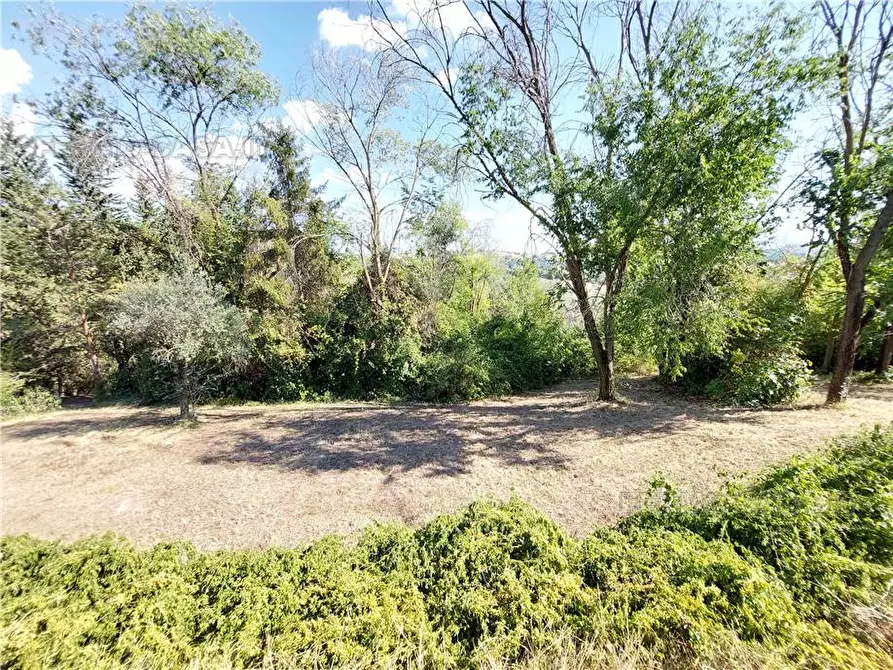 Immagine 31 di Rustico / casale in vendita  in Via Spino, 9 a Monterubbiano