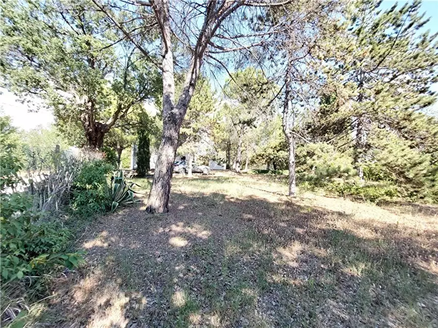 Immagine 32 di Rustico / casale in vendita  in Via Spino, 9 a Monterubbiano