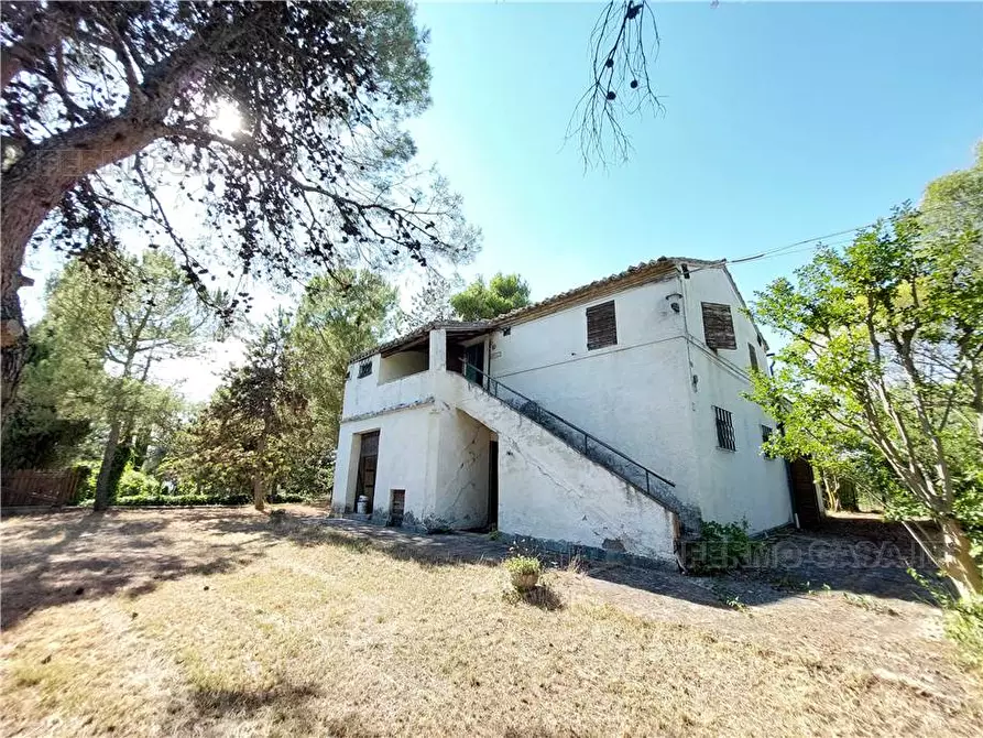 Immagine 4 di Rustico / casale in vendita  in Via Spino, 9 a Monterubbiano