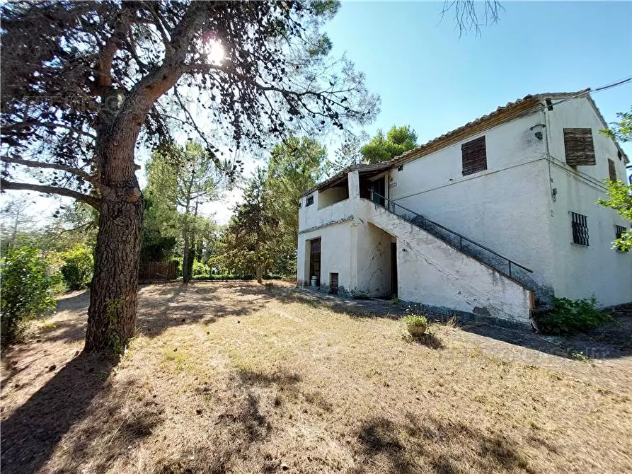 Immagine 5 di Rustico / casale in vendita  in Via Spino, 9 a Monterubbiano