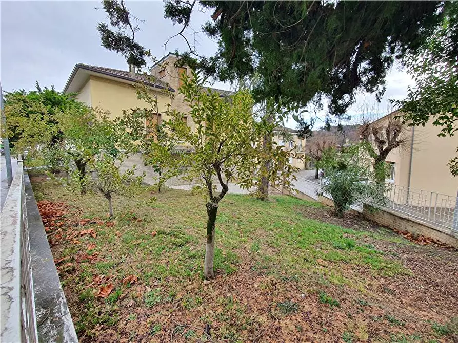 Immagine 2 di Villa in vendita  in V.le trieste, 26 a Montottone