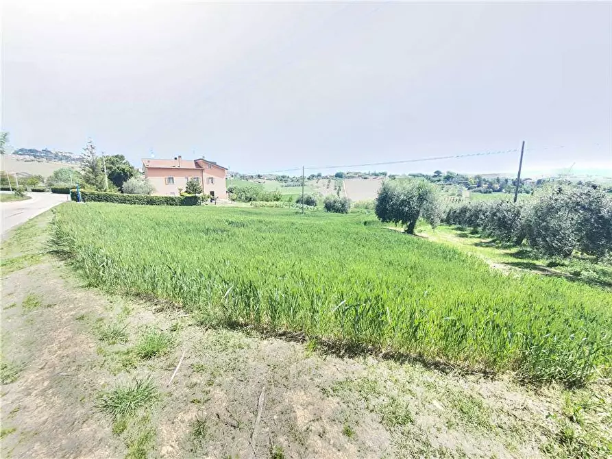 Immagine 15 di Terreno in vendita  in Via cecapalomba, 10 a Fermo