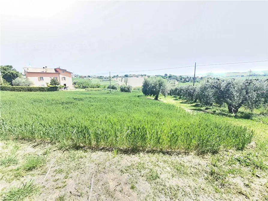 Immagine 16 di Terreno in vendita  in Via cecapalomba, 10 a Fermo