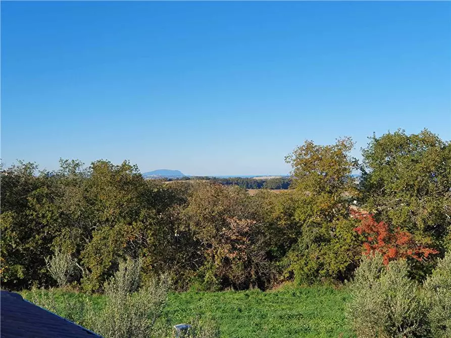 Immagine 8 di Villa in vendita  in V.le sp2 a Lapedona