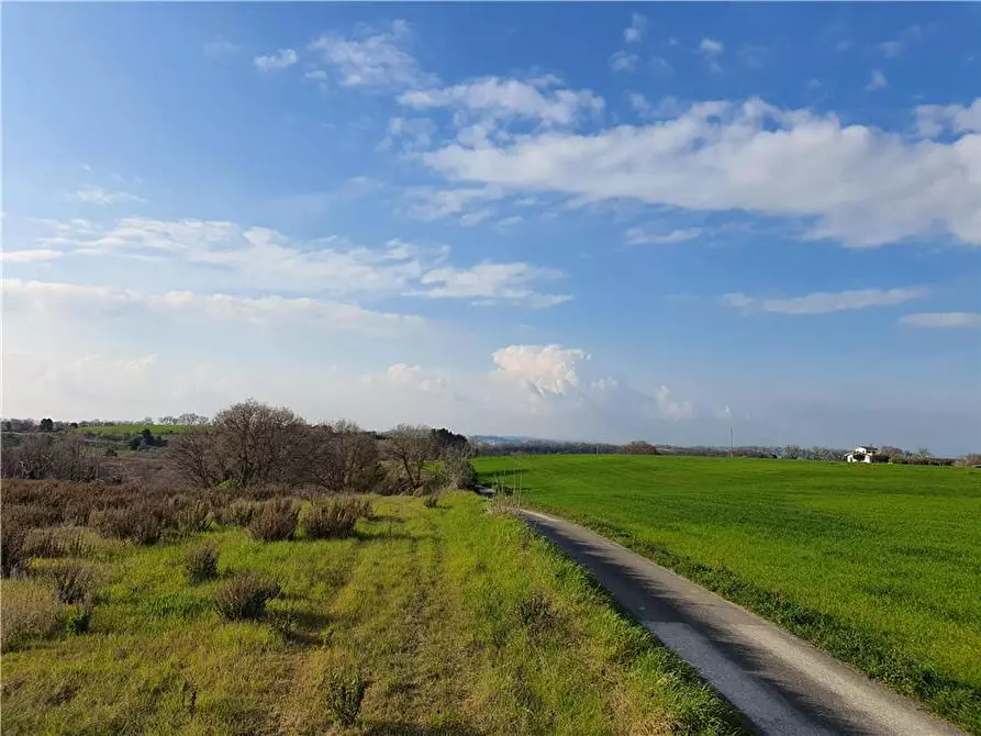 Immagine 10 di Terreno in vendita  in Via monti di Monterubbiano a Lapedona