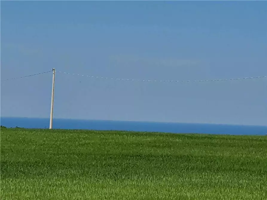 Immagine 14 di Terreno in vendita  in Via monti di Monterubbiano a Lapedona