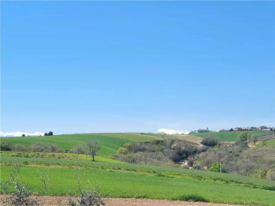 Immagine 15 di Terreno in vendita  in Via monti di Monterubbiano a Lapedona
