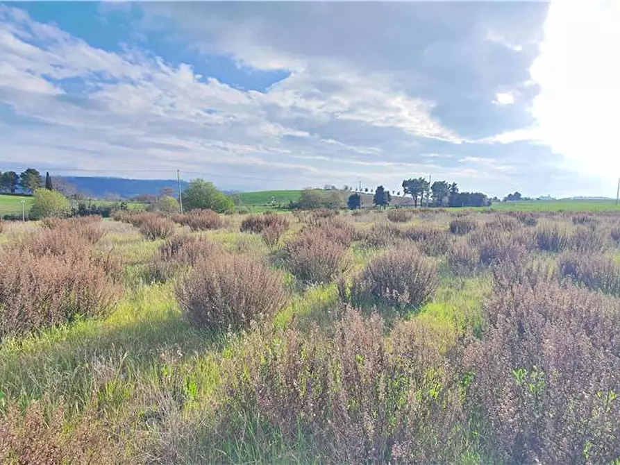 Immagine 22 di Terreno in vendita  in Via monti di Monterubbiano a Lapedona