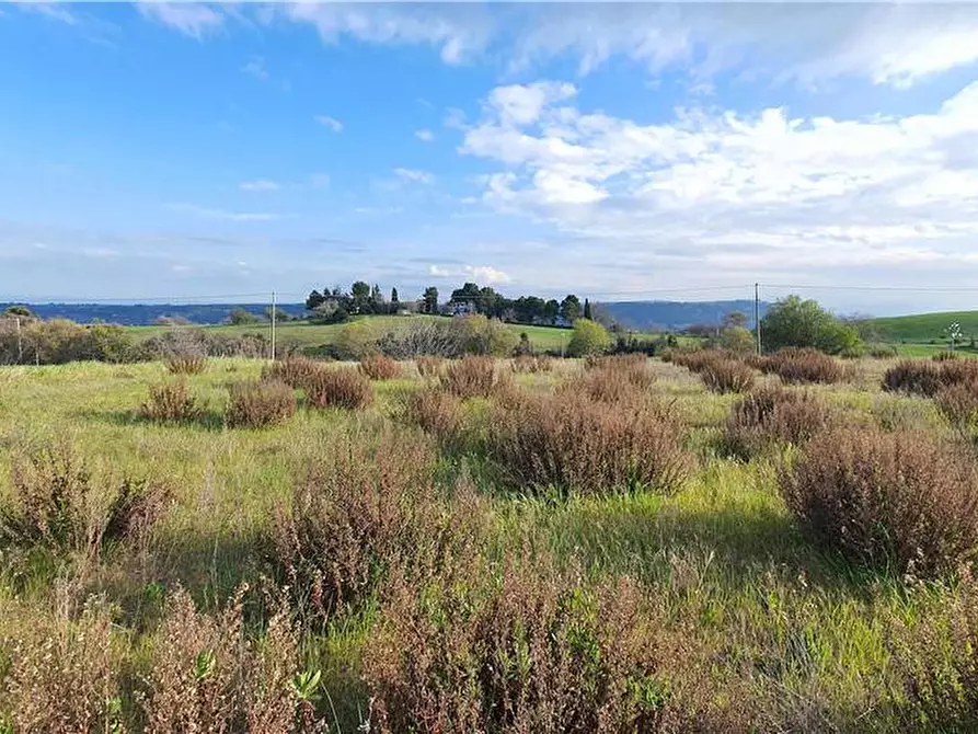 Immagine 24 di Terreno in vendita  in Via monti di Monterubbiano a Lapedona