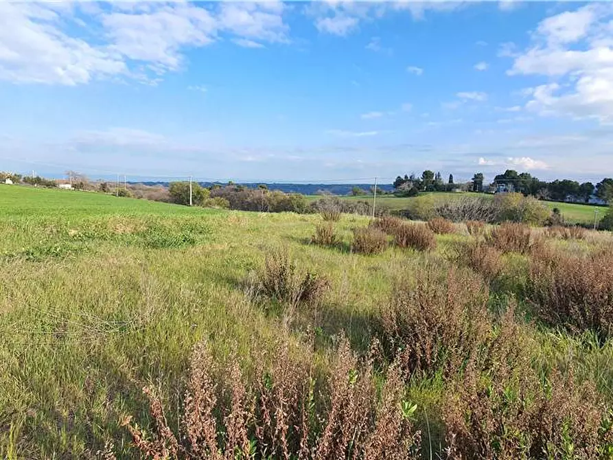 Immagine 25 di Terreno in vendita  in Via monti di Monterubbiano a Lapedona